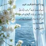 Wudhu and Establishing the Dominance of the Angelic Faculty Within One