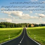 The Essence of the Eid Sacrifice