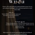 Shaafi’ Wudhu Masaail (2)