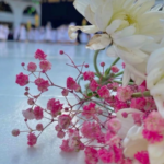 Khairun Nisa, the Wife of Hazrat Haaji Imdaadullah (Rahmatullahi Alaihima)